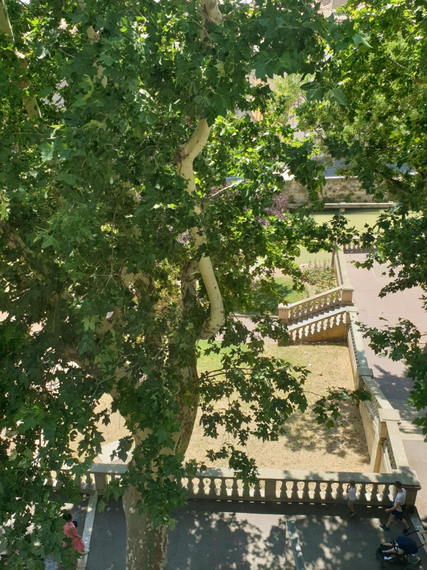 Via Narbona Daire Dış mekan fotoğraf